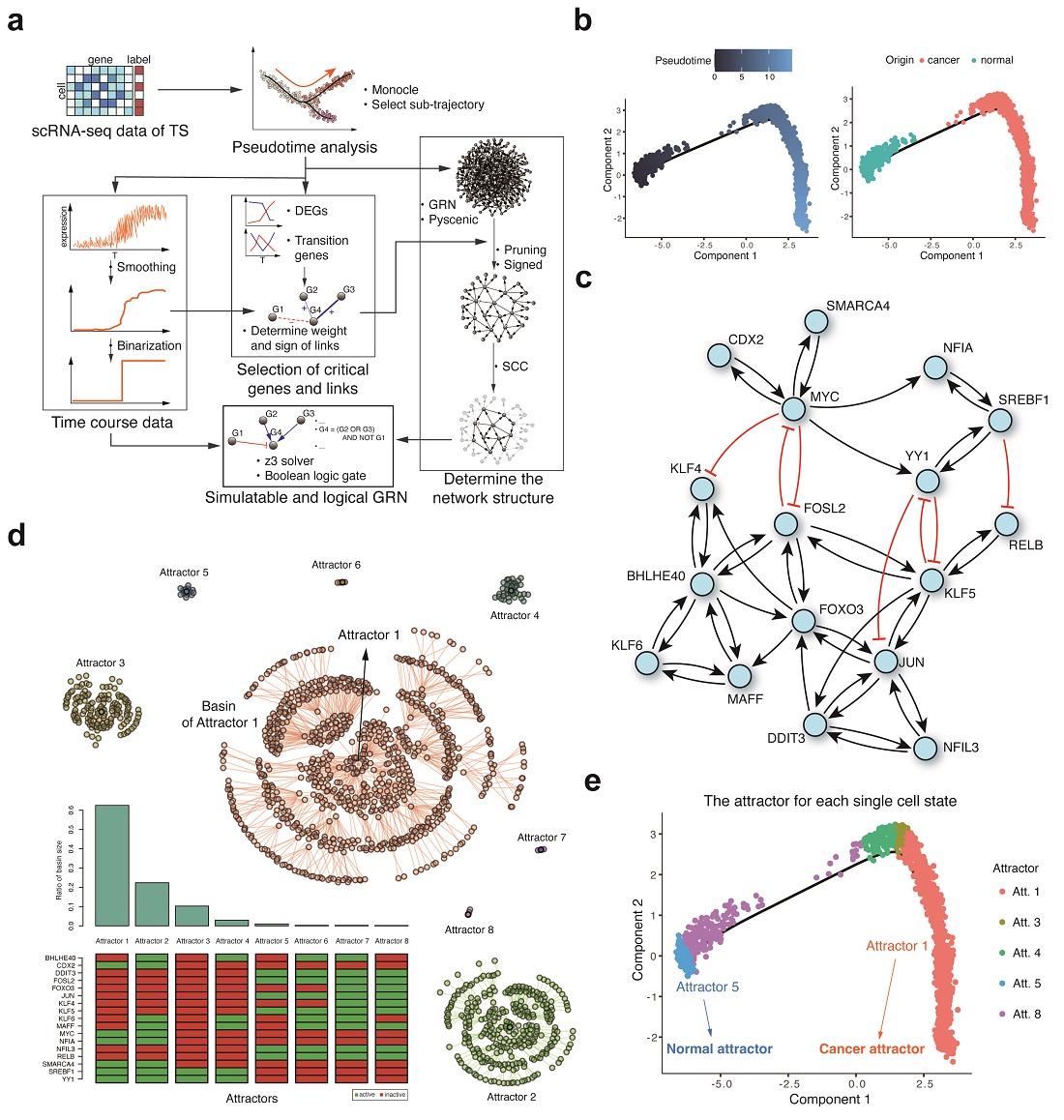 그림 3. 대장암 임계전이 상태에 대한 유전자 네트워크 컴퓨터 모델 구축. 암 임계전이 상태의 단일세포 유전자 발현 데이터와 유전자 간 상호작용에 대한 기존 실험결과들을 집대성해 유전자 간의 동역학적 변화 양상을 모사할 수 있는 유전자 네트워크 컴퓨터 모델을 구축하기 위한 방법론을 정립하였다(a). 이러한 방법론을 이용해 대장암 임계전이 상태에 대한 유전자 네트워크 컴퓨터 모델을 구축하고 끌개 지형 분석을 통하여 정상 및 암세포 표현형을 나타내는 끌개 분포를 확인하였다(b-e).