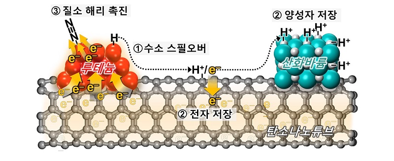 Schematic diagram showing the mechanism of enhancing ruthenium catalyst activity by barium oxide promoter