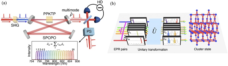 그림 1. (a) 실험 개략도. 800 nm 파장을 갖는 펄스 레이저가 이차 조화파 생성을 통해 400 nm 파장의 펄스 레이저로 변환되고, 이것이 비선형 결정 (PPKTP)에 입사해 다수의 양자얽힘 광원을 생성함. (b) 광학모드 기저 변경을 통한 3차원 클러스터 상태 생성