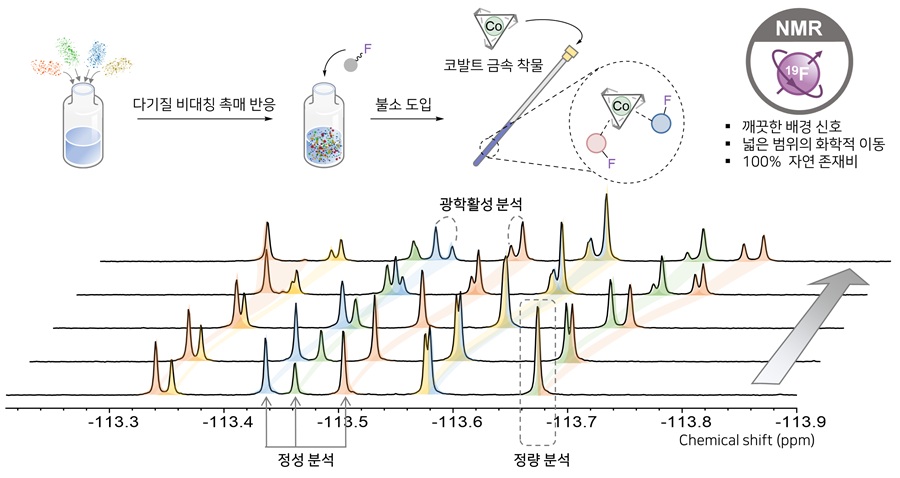 그림 2. 서로 다른 기질들을 하나의 반응기 안에서 동시에 반응시키는 다기질 비대칭 촉매 반응을 불소 핵자기공명을 활용해 분석하는 방법을 구현했다. 배경신호가 깨끗하고 화학적 이동 범위가 넓은 불소 핵자기공명의 특성 활용하여 각 기질의 반응성을 정량적으로 분석할 수 있으며, 코발트 금속 착물을 이용하여 모든 반응물의 광학활성까지 동시에 측정할 수 있음을 알 수 있다.
