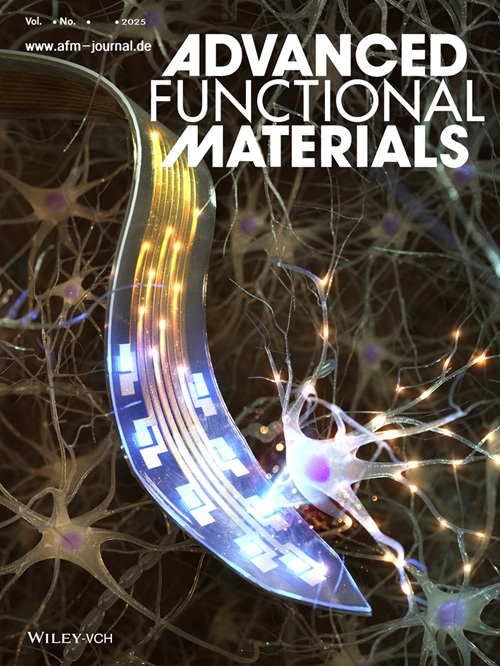 그림 2. 어드밴스드 펑셔널 머터리얼즈 (Advanced Functional Materials) 논문지의 전면표지 그림 (Front Cover Image) – 마이크로 올레드(Micro-OLED) 집적 광유전학용 유연 뉴럴 프로브 개념도)