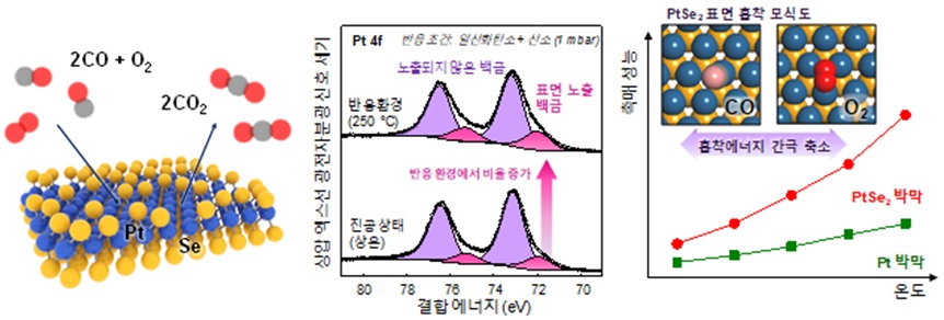 그림 2. (왼쪽) PtSe2 표면에서 진행되는 일산화탄소 산화 반응에 대한 모식도. 표면의 셀레늄이 떨어진 자리 아래에 존재하는 백금에 기체 반응물들이 흡착되어 반응이 진행된다. (가운데) 진공상태와 일산화탄소 산화반응 환경에서 연속적으로 진행된 상압 엑스선 광전자분광 분석. 진분홍색 픽은 표면에 노출된 백금의 존재를 보이고 이가 흡착점으로 기능함을 시사한다. (오른쪽 위) PtSe2 표면에 흡착한 일산화탄소와 산호의 흡착을 보여주는 모식도. 두 기체 사이의 흡착 에너지 차이가 일반적인 백금 표면에 대한 흡착에 비해 크게 완화되었다. (오른쪽 아래) 온도에 따른 PtSe2 박막과 백금 박막의 일산화탄소 산화 반응 성능 비교.