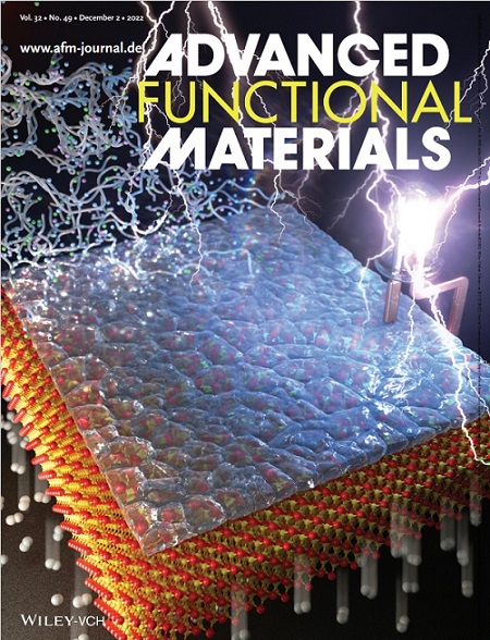 &#44536;&#47548; 4. Advanced Functional Materials &#51200;&#45328; &#50526;&#54364;&#51648; (Front Cover)